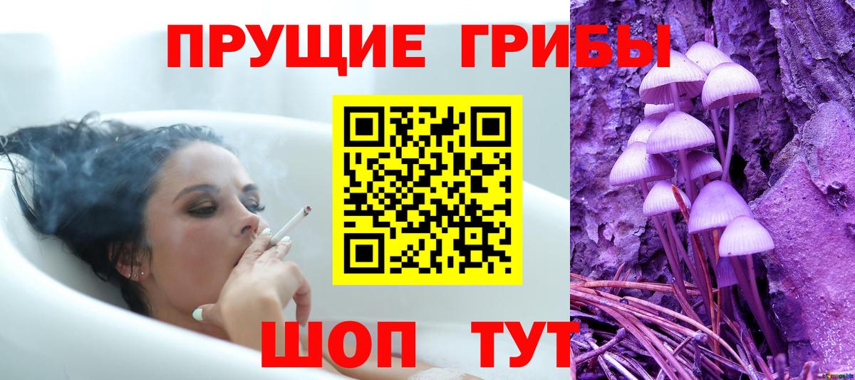 Галлюциногенные грибы Psilocybine cubensis Ивантеевка